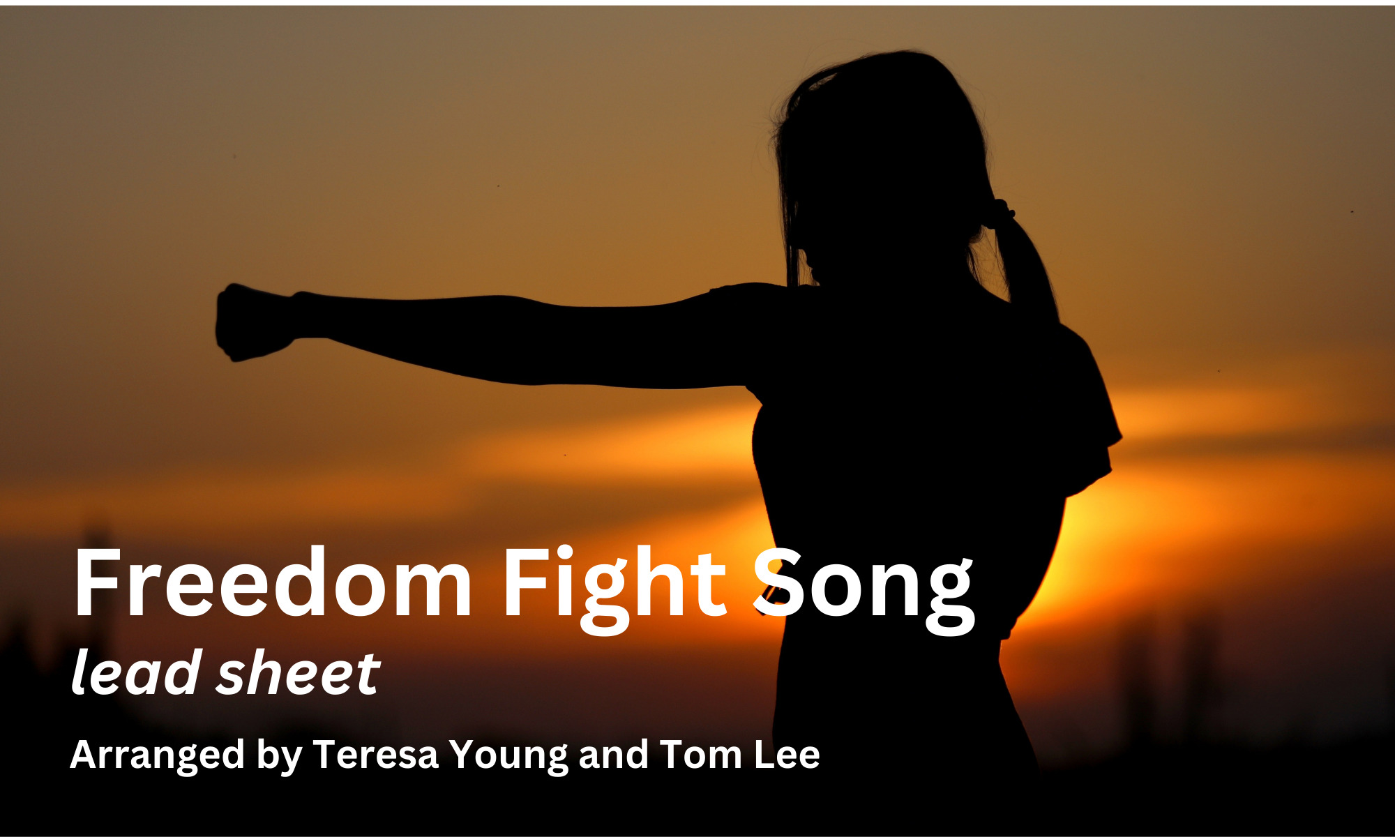 Freedom Fight Song, by Teresa Young and Tom Lee