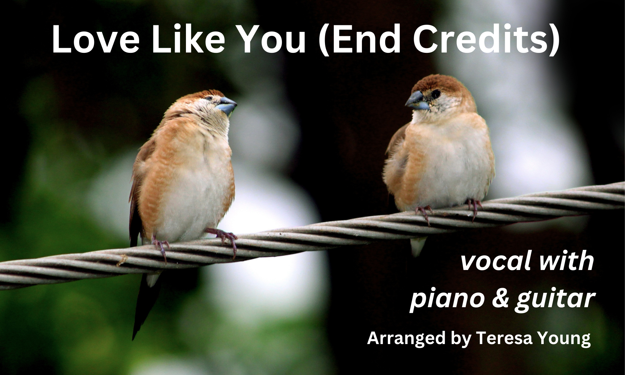 Love Like You, vocal with piano & guitar, arranged by Teresa Young