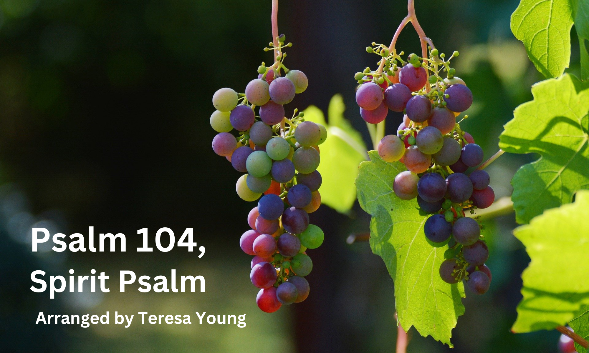 Psalm 104, Spirit Psalm, by Teresa Young