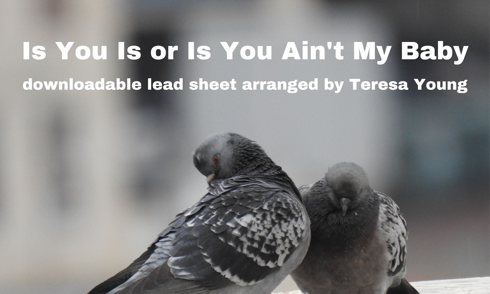 Is You Is or Is You Ain't My Baby lead sheet arr. Teresa Young