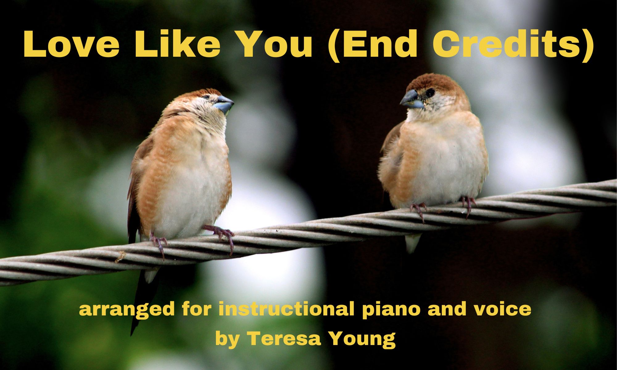 Love Like You (End Credits) arr. Teresa Young
