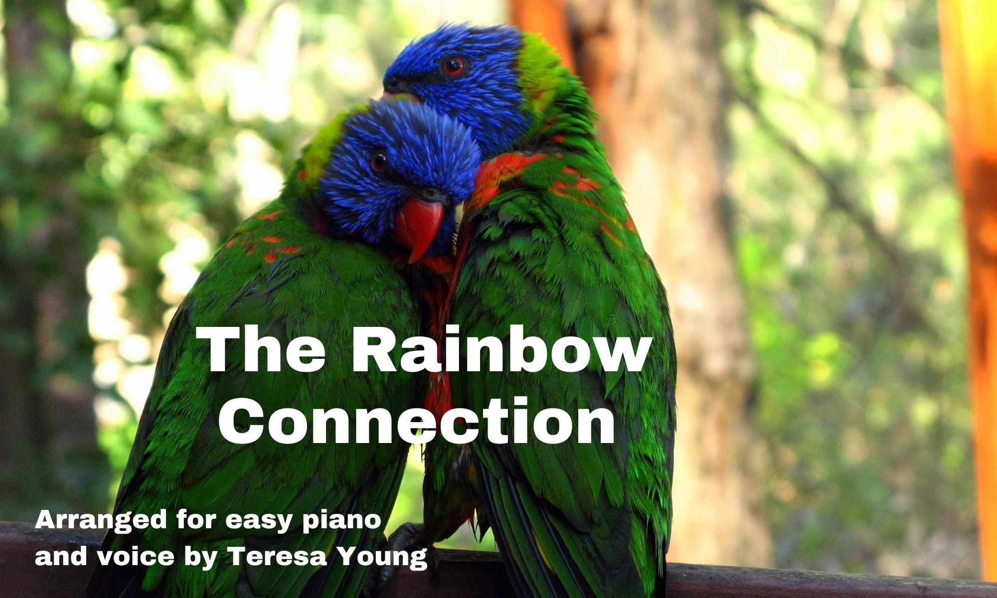The Rainbow Connection, arr. by Teresa Young