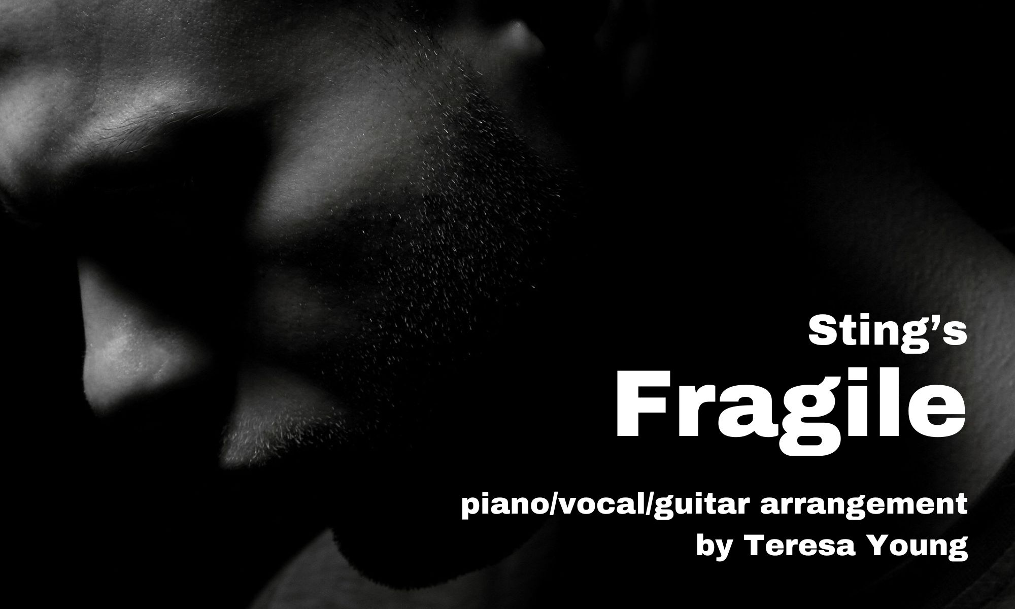 Sting's Fragile arr. by Teresa Young
