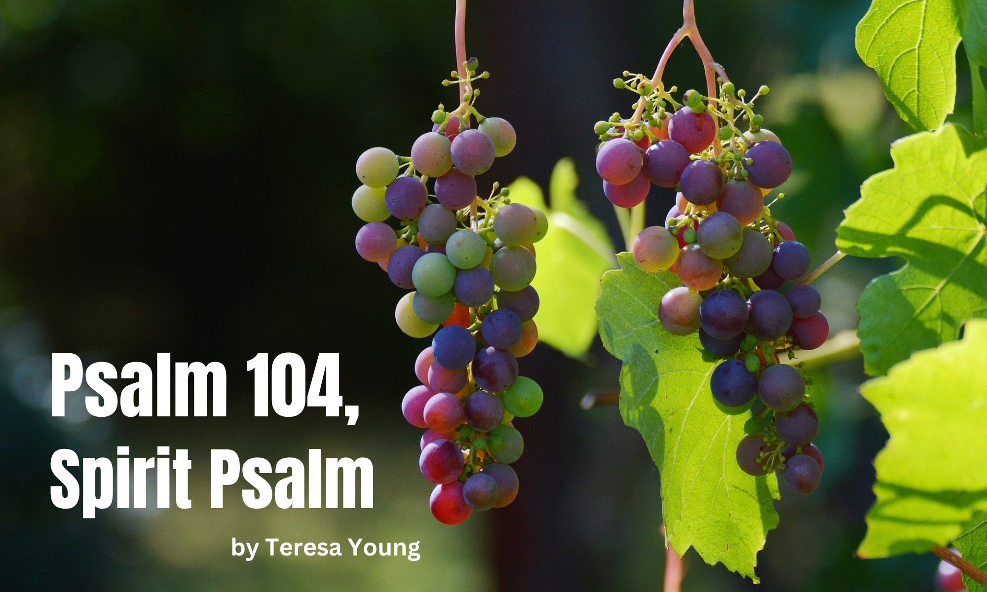 Psalm 104, Spirit Psalm, by Teresa Young